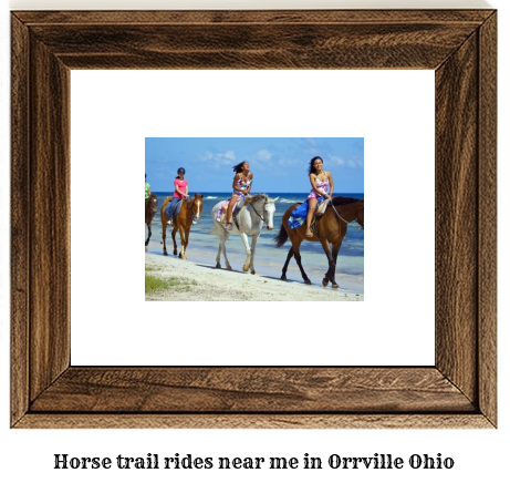 horse trail rides near me in Orrville, Ohio